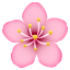 Cherry blossom :cherry_blossom: 🌸